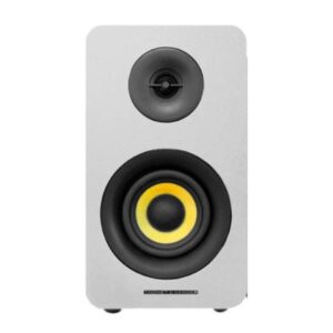 PARLANTE THONET & VANDER KUMPEL 50W BLUETOOTH 3.5 Y RCA HK096-03677